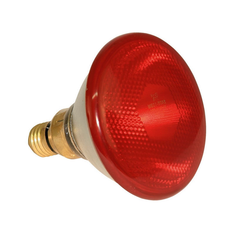 PAR38 reflector infrared heat lamp