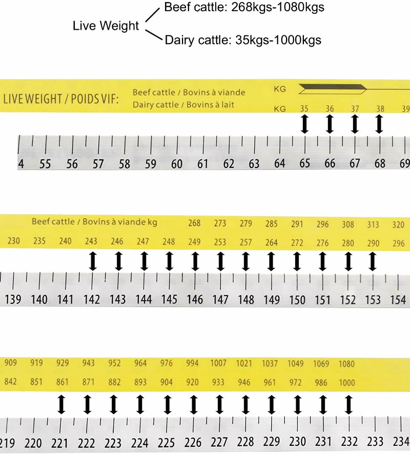 cattle weight tape