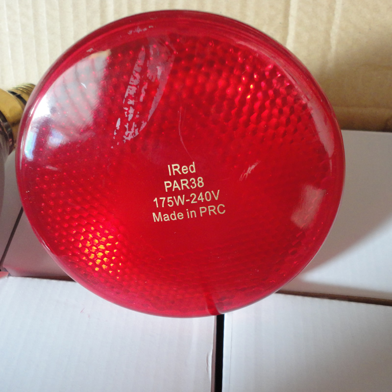par38 175w heat lamp