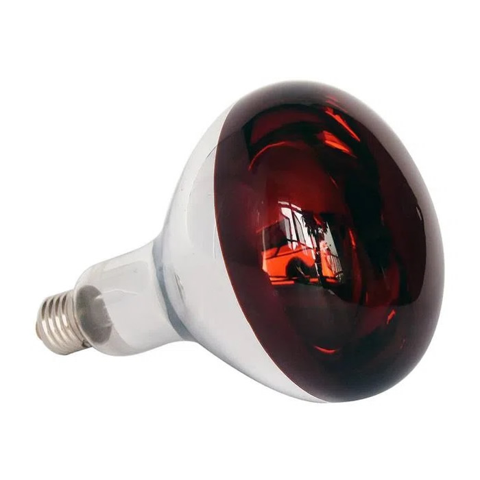 r40 heat bulb